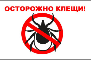 Всероссийская горячая линия по профилактике клещевого энцефалита и инфекций, передающихся клещами Всероссийская горячая линия по профилактике клещевого энцефалита и инфекций, передающихся клещами.